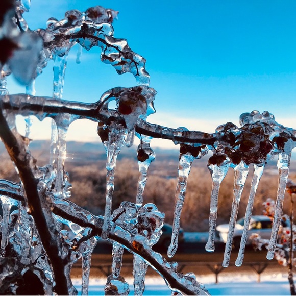 Meet your Posher, Angela 🦋🌊🦋🌊🦋🌊🦋 - Picture 11 of 16